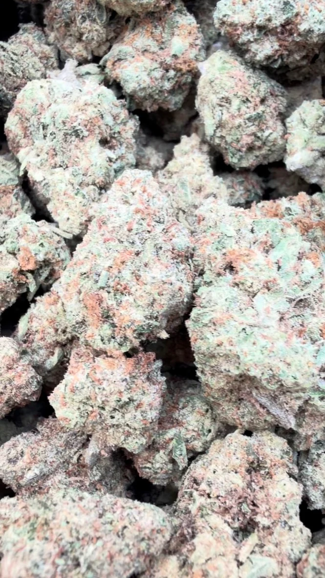 Apple Banana - Bulk - Hybrid