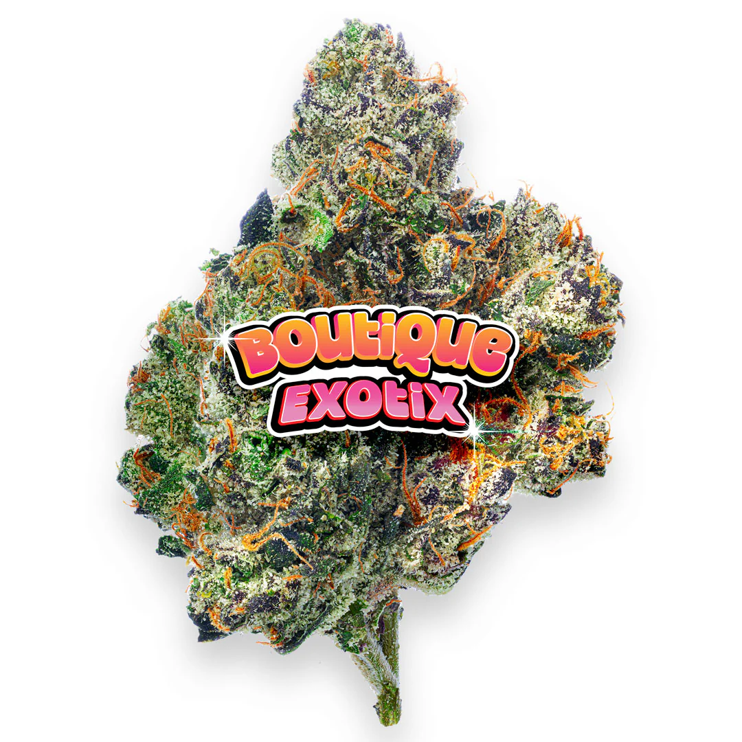 Boutique Exotics - Obama Runtz - 14 Grams - Hybrid