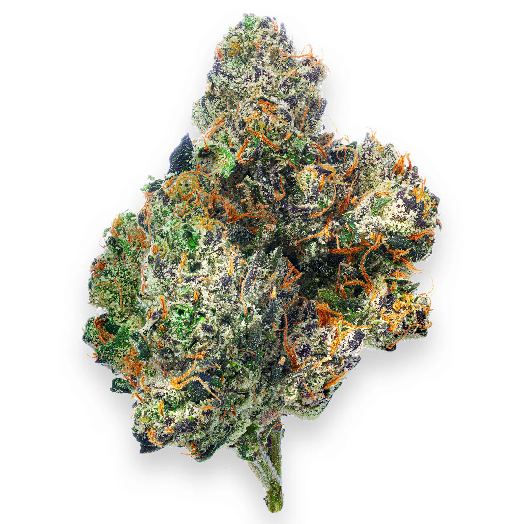 Boutique Exotics - Obama Runtz - 14 Grams - Hybrid - Image 2