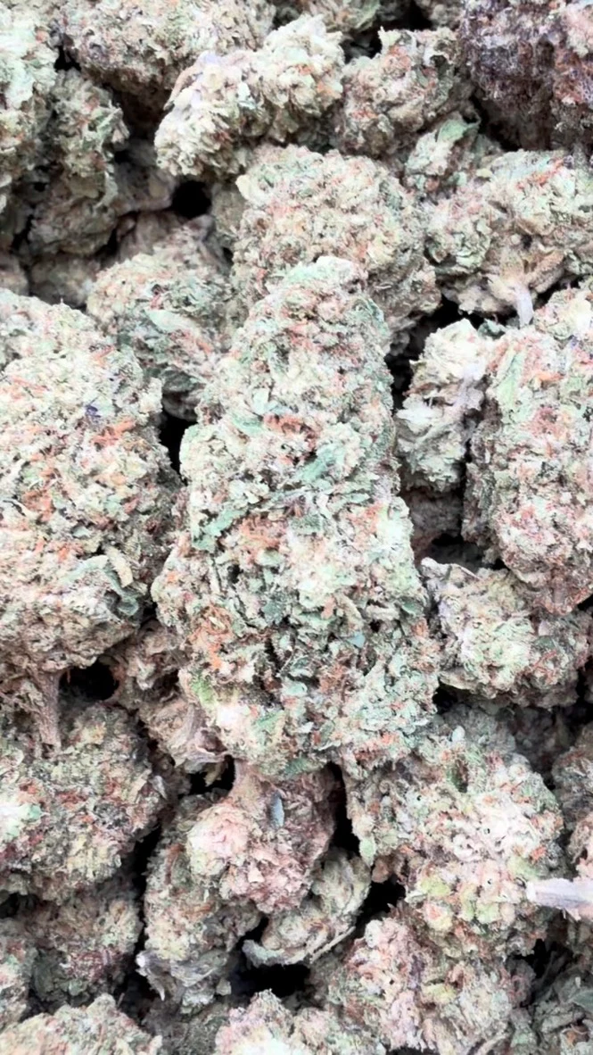 Candy Gas - Bulk - Hybrid