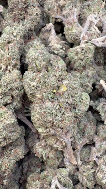 Candy Runtz - Bulk - Hybrid