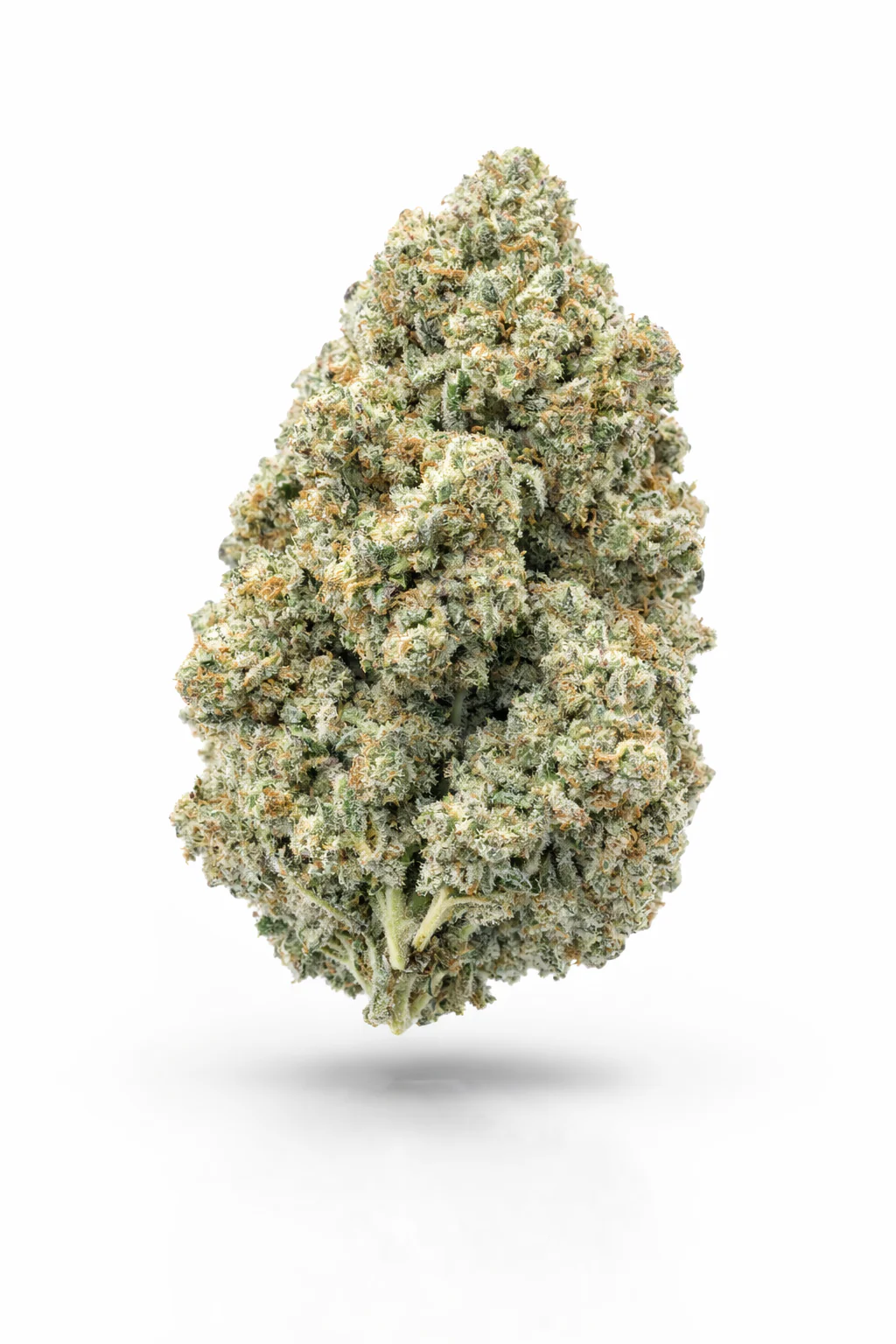 Cap Junky Indoor - Bulk - Hybrid - Image 2