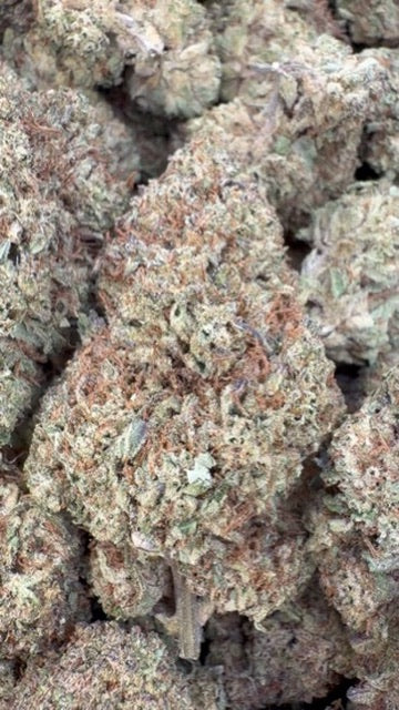 Durban Mintz - Bulk - Indica