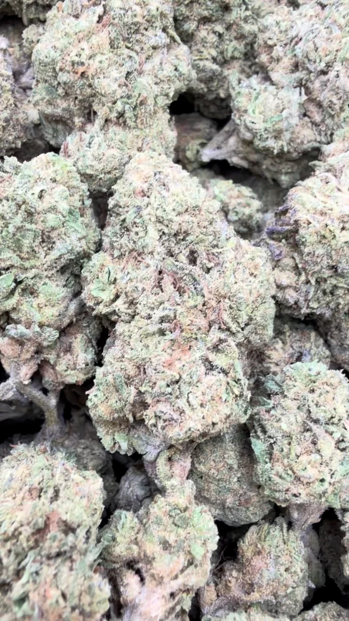 Elmer's Glue - Bulk - Hybrid