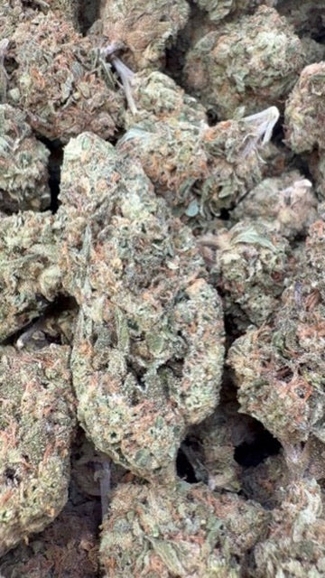 Galaxy OG - Bulk - Indica