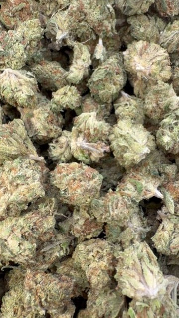 GMO Minis - Bulk Minis - Indica
