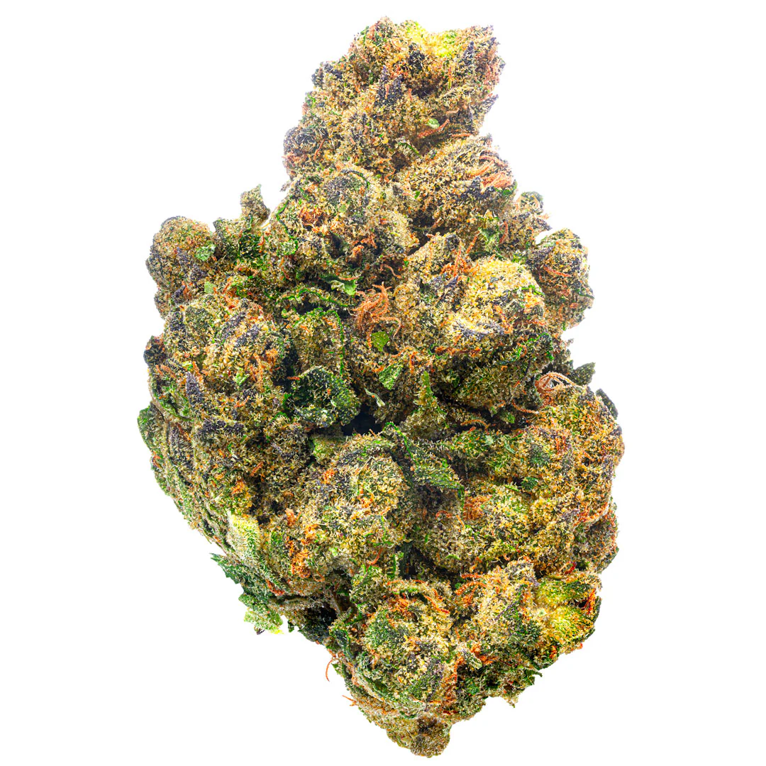 Guava Lato - 28 Grams - Hybrid
