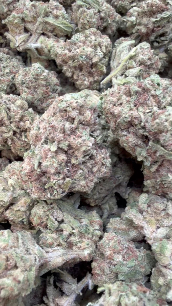 Horchata Gas - Bulk - Hybrid