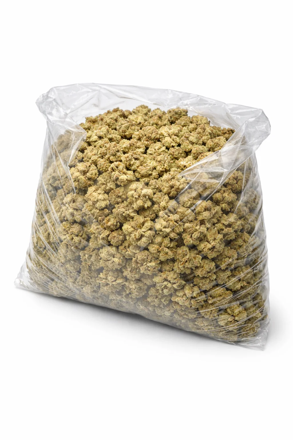 Horchata Gas - Bulk - Hybrid - Image 2