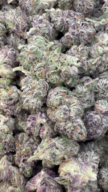 Indoor Exotic Purple Jack Minis - Bulk Minis - Hybrid