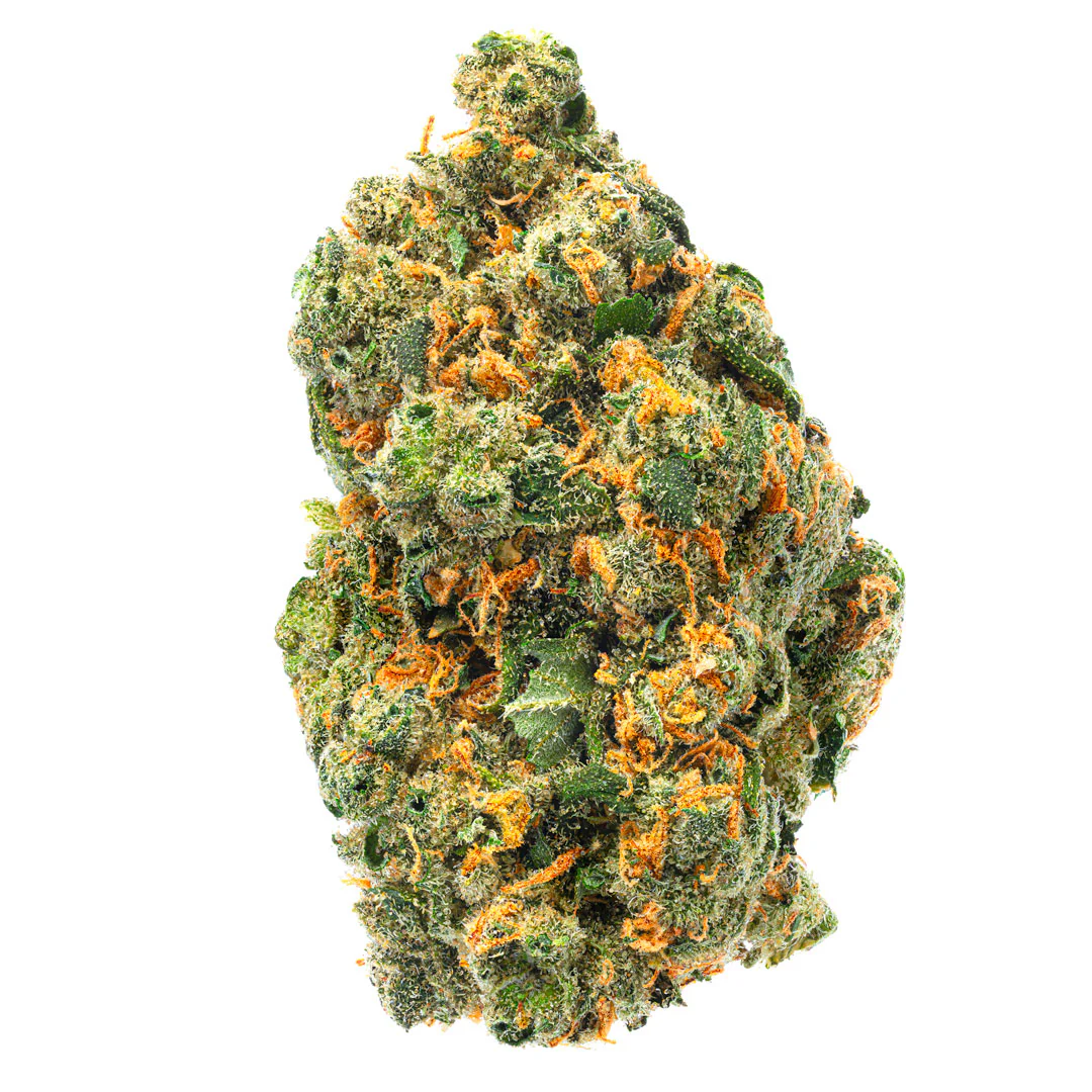 Jack Herer Indoor - 14 Grams - Sativa - Image 2