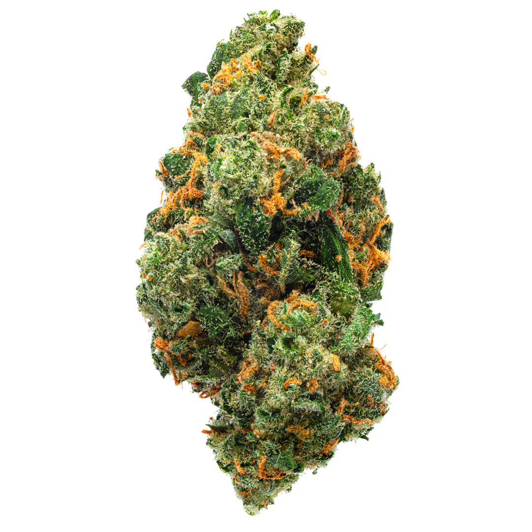 Jack Herer Indoor - 14 Grams - Sativa - Image 3