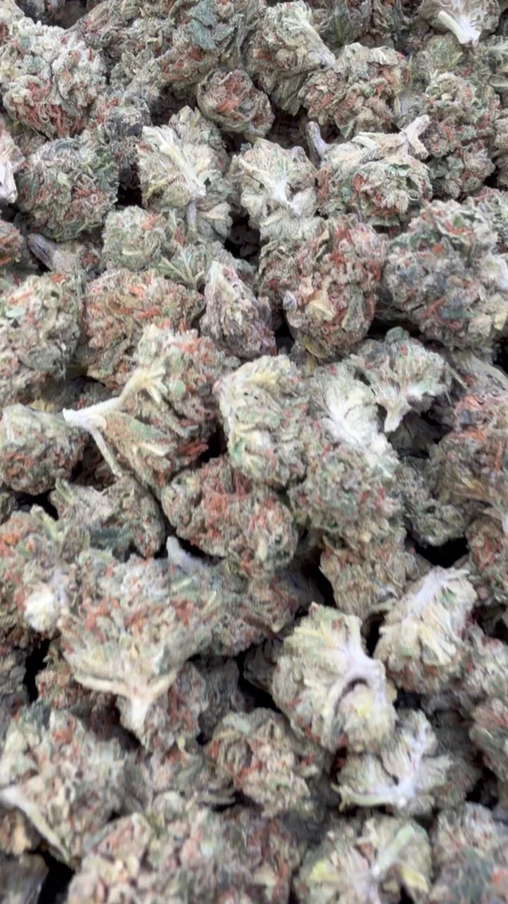 Jager Sour Diesel Minis - Bulk Minis - Sativa