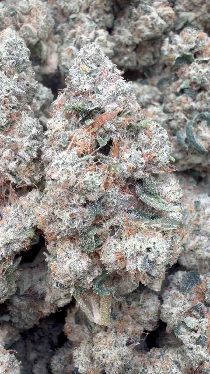 Marathon OG Indoor - Bulk - Indica