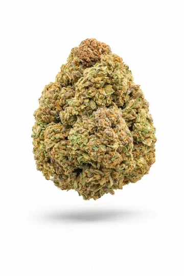 Jungle Gelato - Bulk - Indica - Image 2