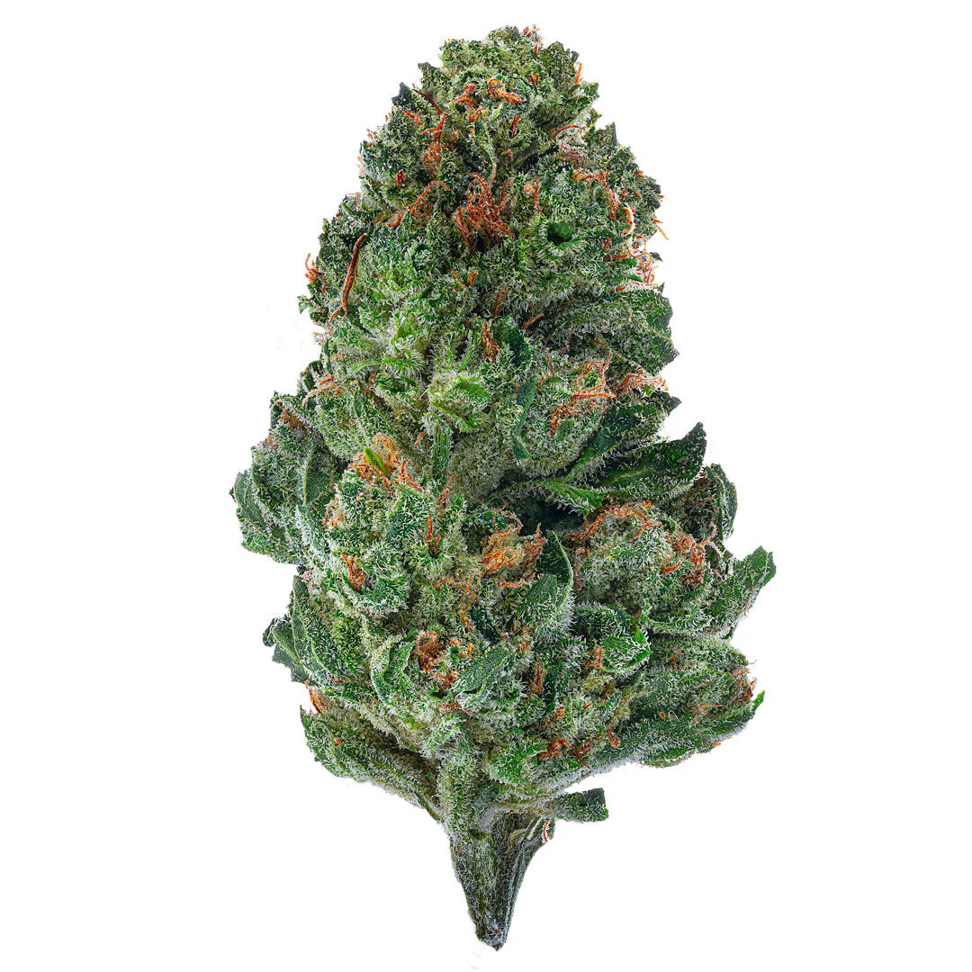 Laughing Gas - Indoor - 28 Grams - Hybrid
