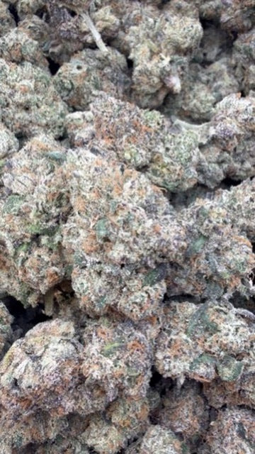 Lemon Cherry Blasters Indoor - Bulk- Hybrid