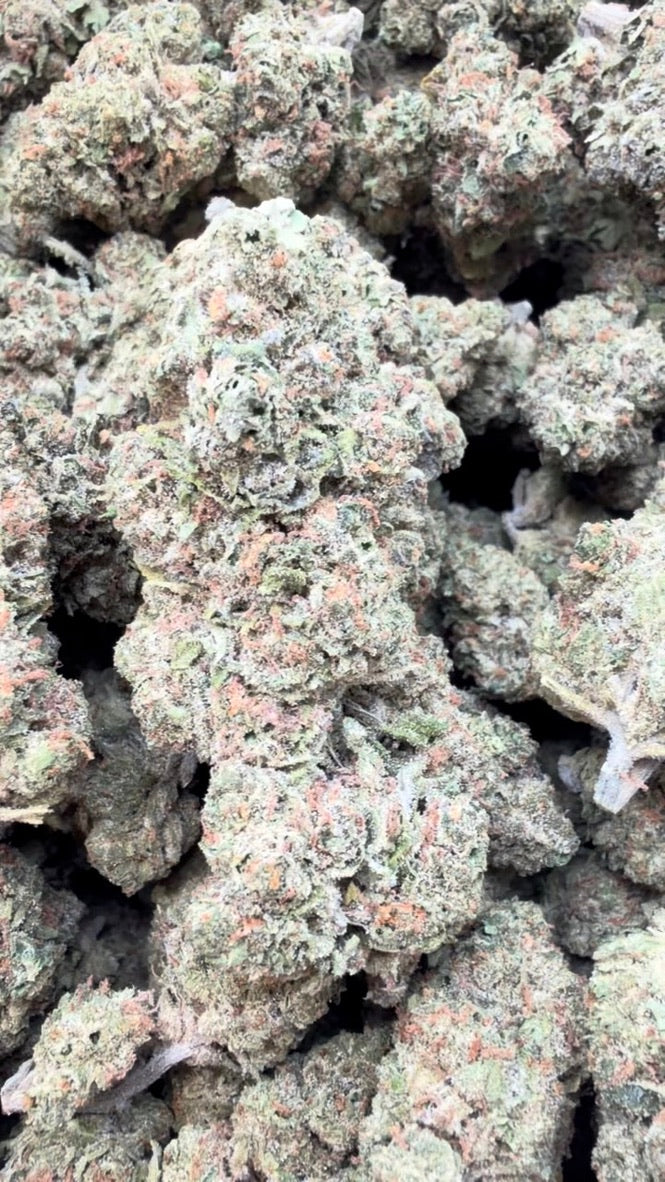 Lemon Sherbs - Bulk - Indica