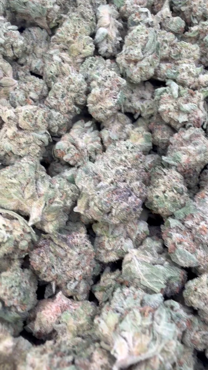 London Pound Cake 97 Minis - Bulk Minis - Indica