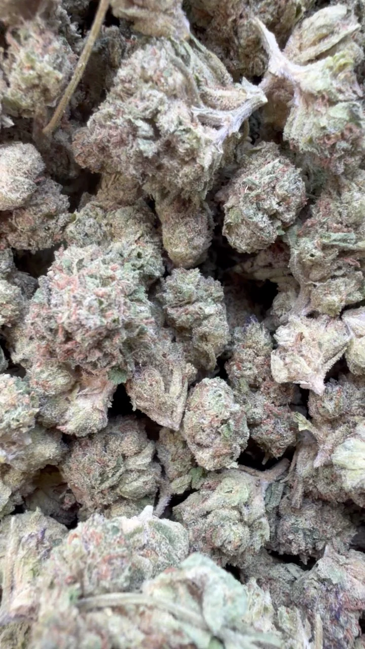 Pinnacle Mintz Minis - Bulk Minis - Indica