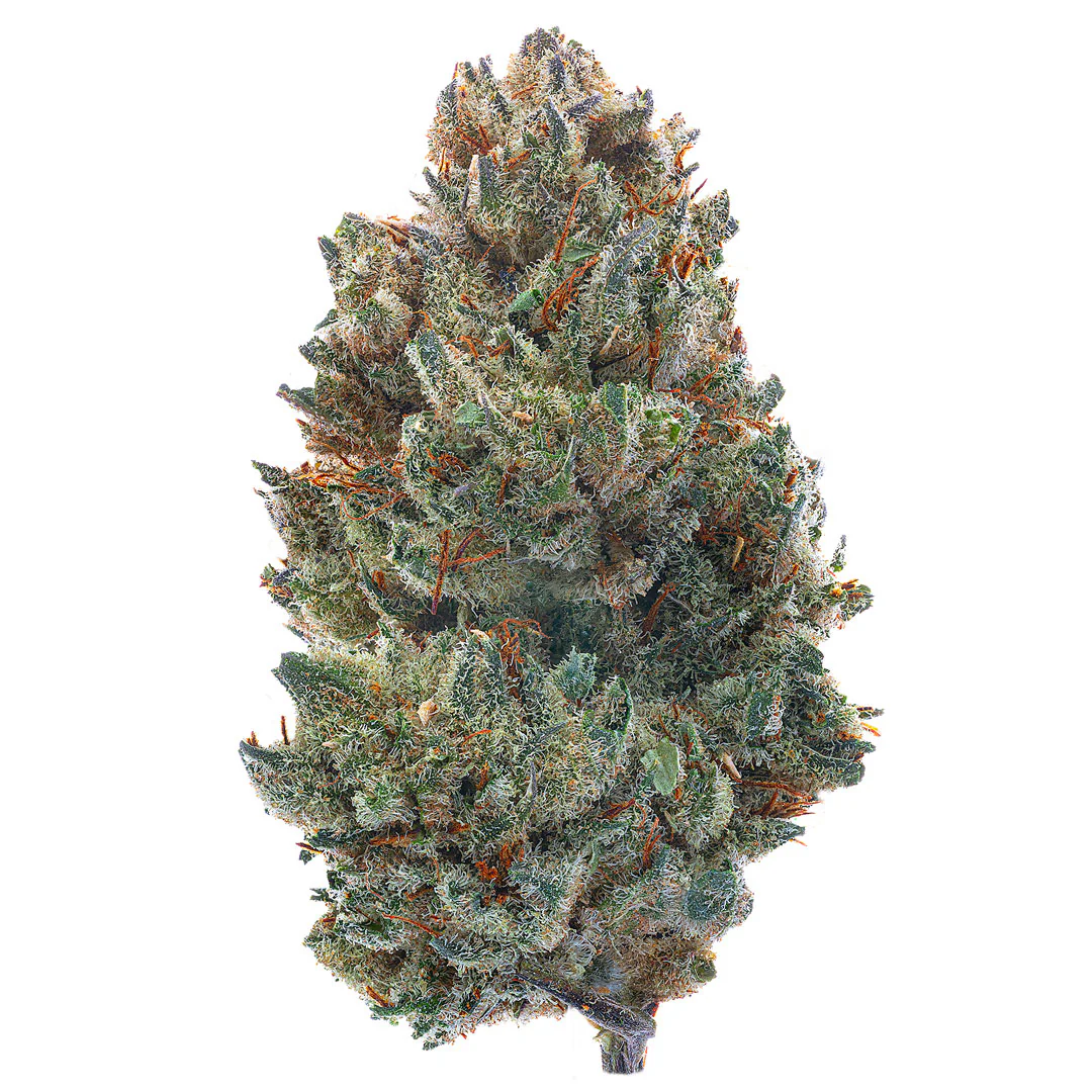 Pre 98 Bubba - 28 Grams - (Indica) - Image 2