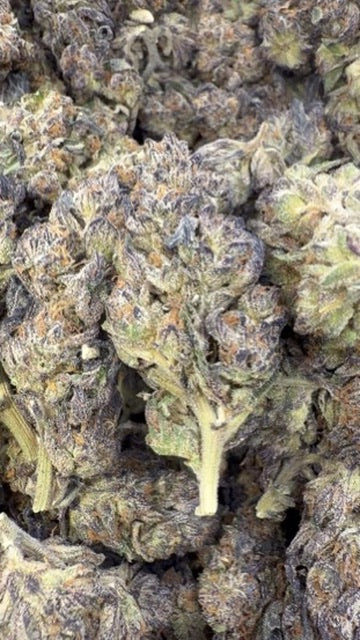 Purple Churro - Bulk - Indica