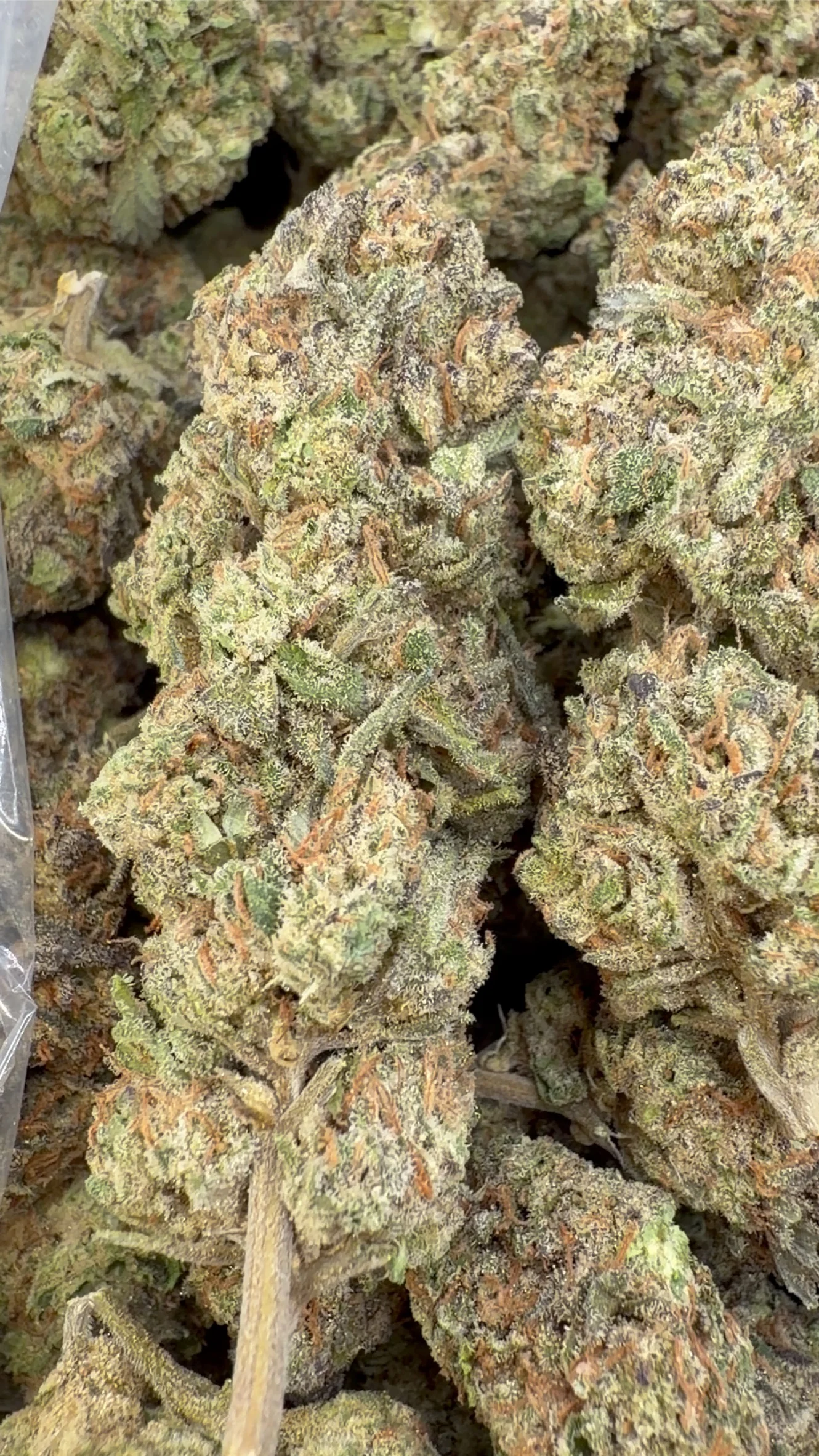 Purple Cookies - Bulk- Hybrid