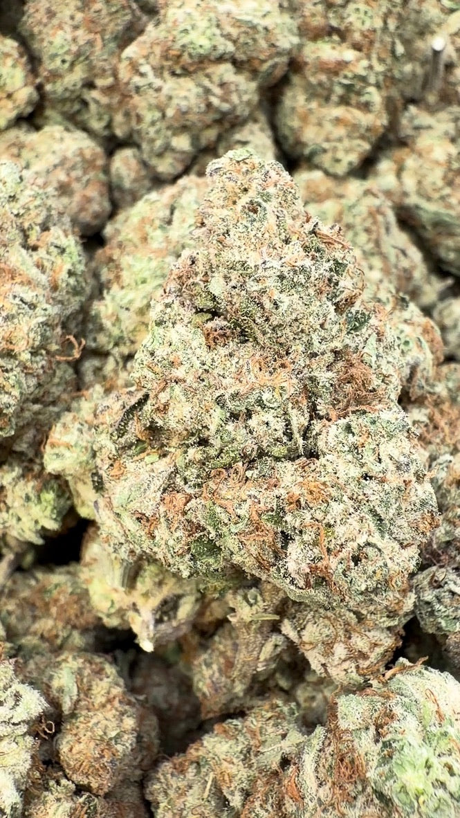 Purple Punch - Bulk - Indica