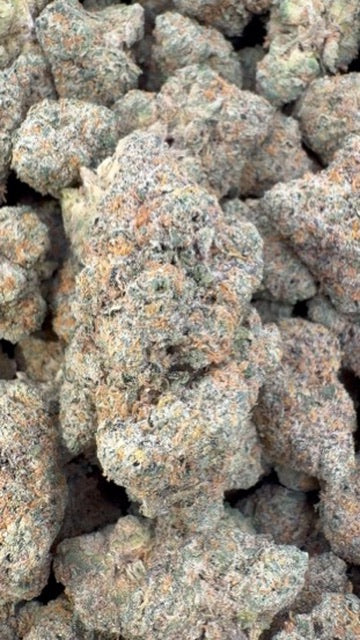 Rainbow Sherbet Indoor - Bulk - Hybrid