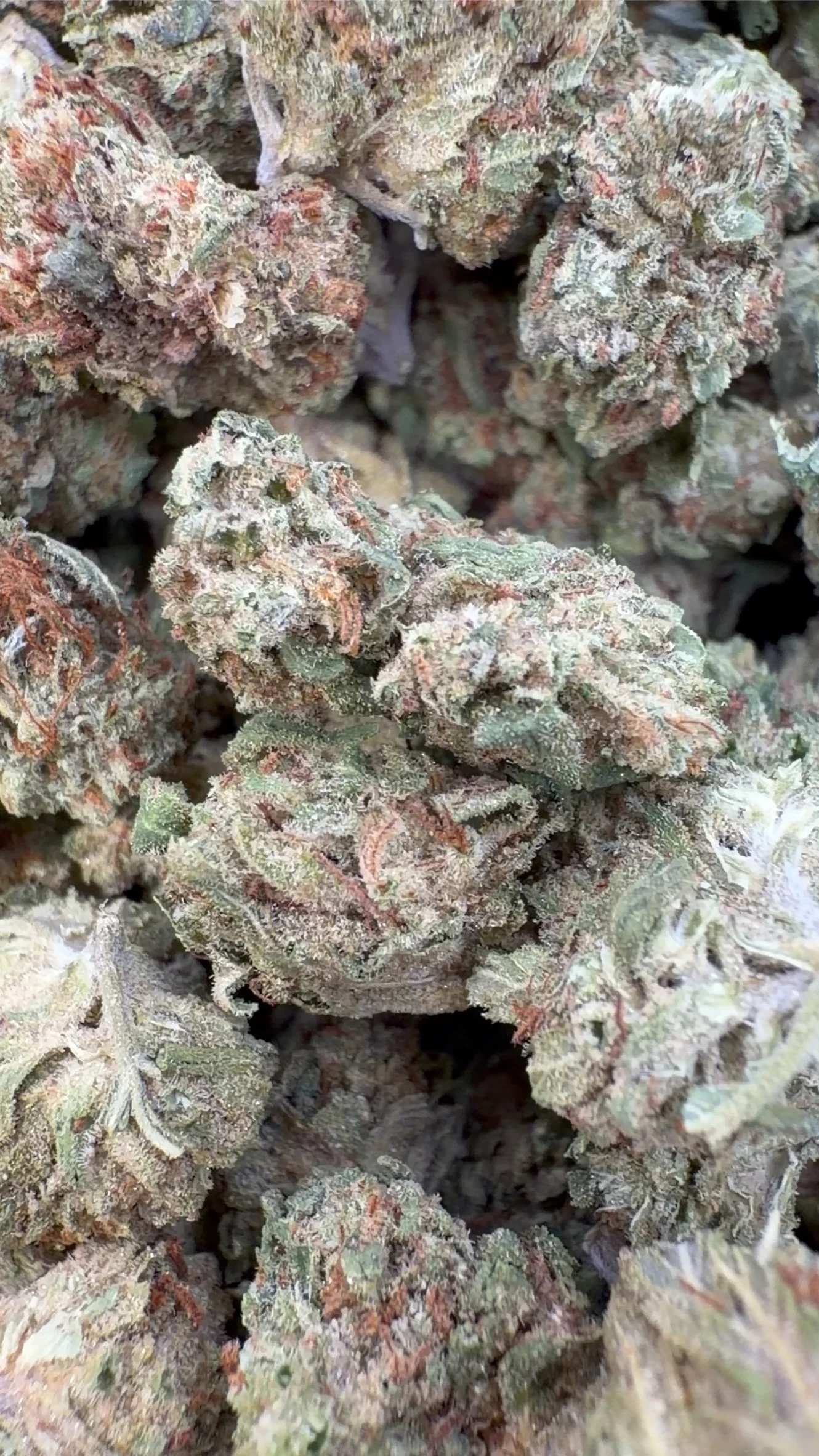 Sour OG Minis - Bulk Minis - Hybrid