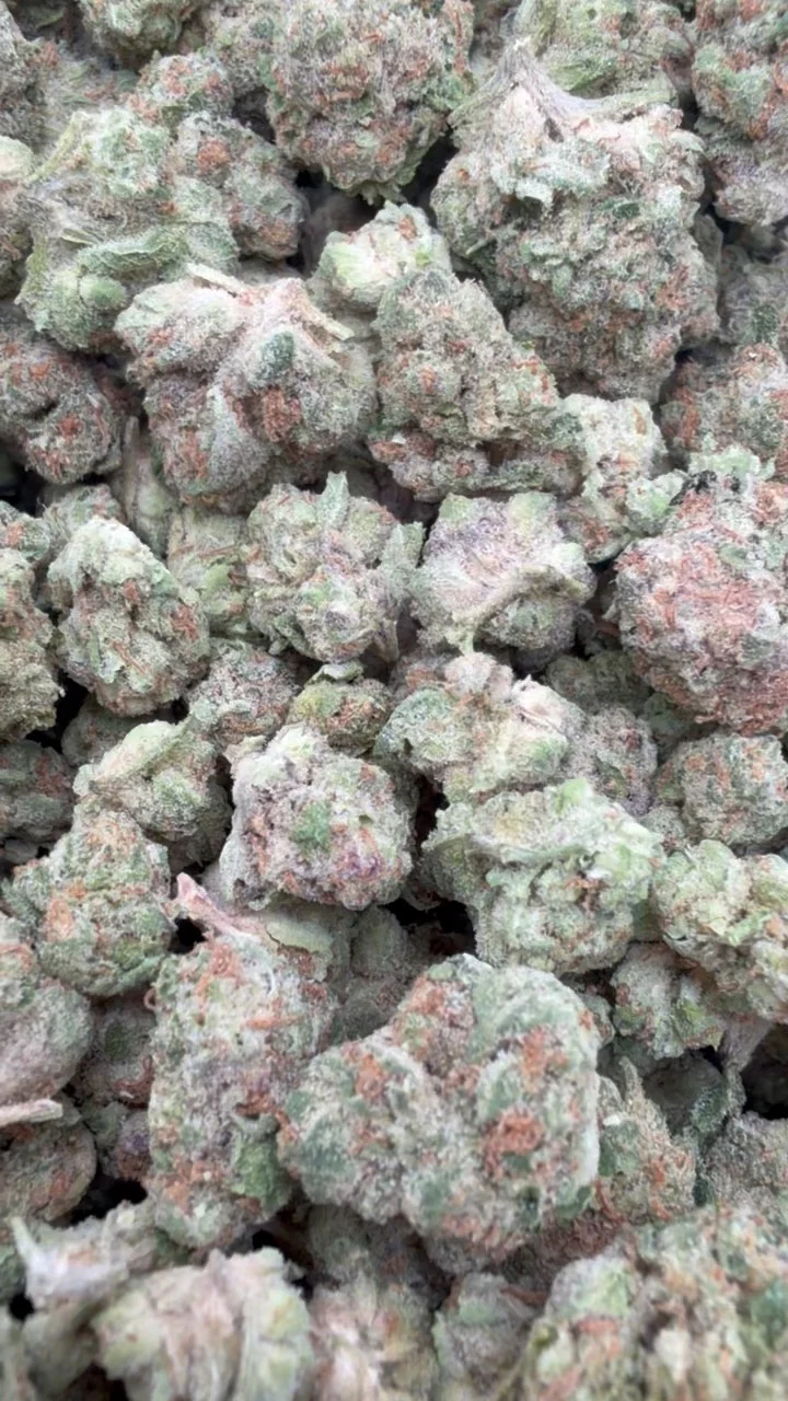 Star Fighter Minis - Bulk Minis - Indica