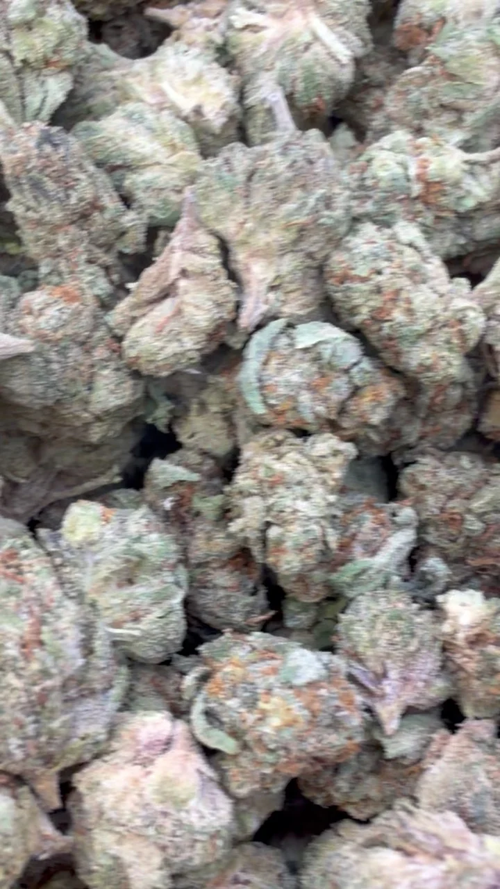 Triangle Kush Minis - Bulk Minis - Indica