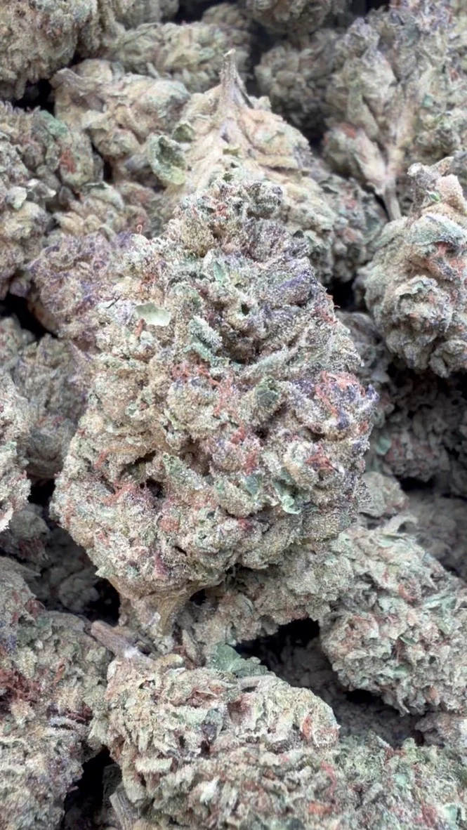 Wedding Crasher - Bulk - Indica