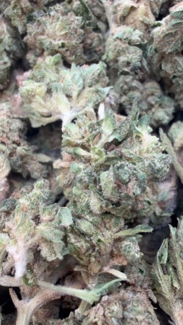 Winter Breath - Bulk - Hybrid